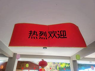 Proyecto Mandarin 2025